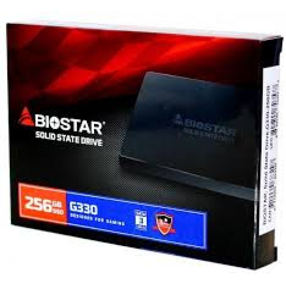 Biostar G330-256 GB Internal Solid State Drive SSD