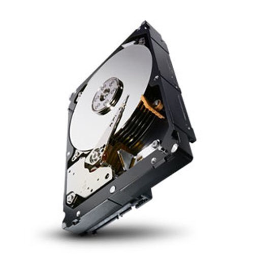 Seagate 4TB Enterprise Capacity HDD 7200RPM SATA 6Gbps 128 MB Cache Internal Bare Drive ST4000NM0033