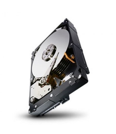 Seagate 4TB Enterprise Capacity HDD 7200RPM SATA 6Gbps 128 MB Cache Internal Bare Drive ST4000NM0033