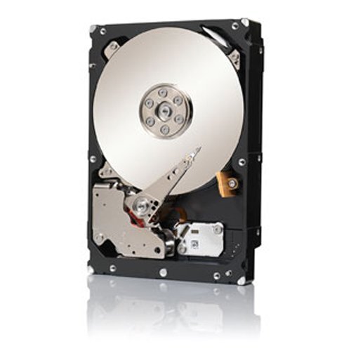 Seagate 4TB Enterprise Capacity HDD 7200RPM SATA 6Gbps 128 MB Cache Internal Bare Drive ST4000NM0033