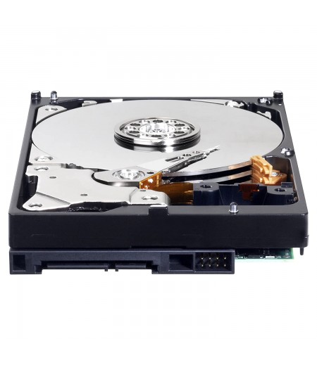 Western Digital Blue 4TB Internal Hard Drive (Western Digital40EZRZ)