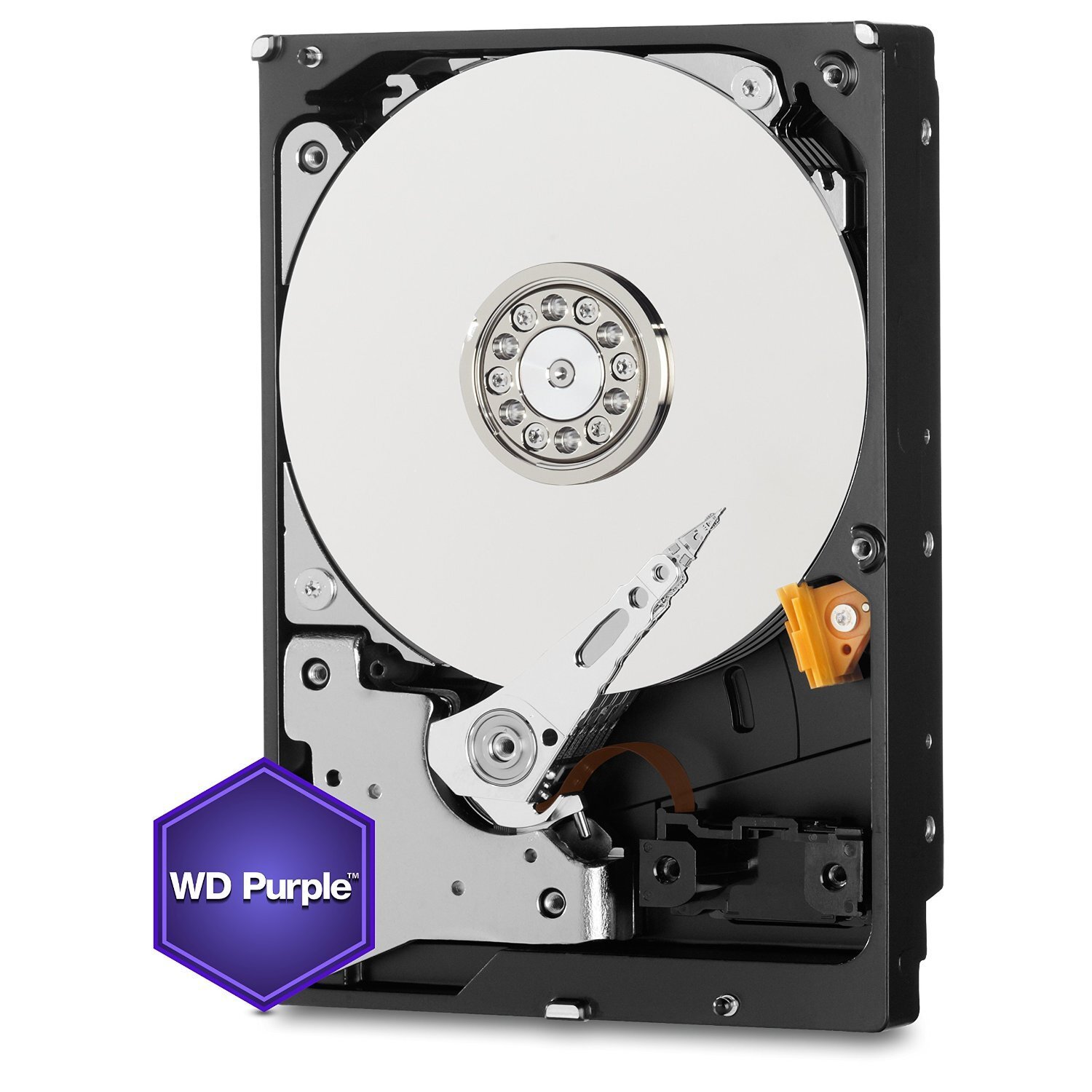 Western Digital Purple Surveillance 6TB Internal  Hard Drive (WD60PURX)