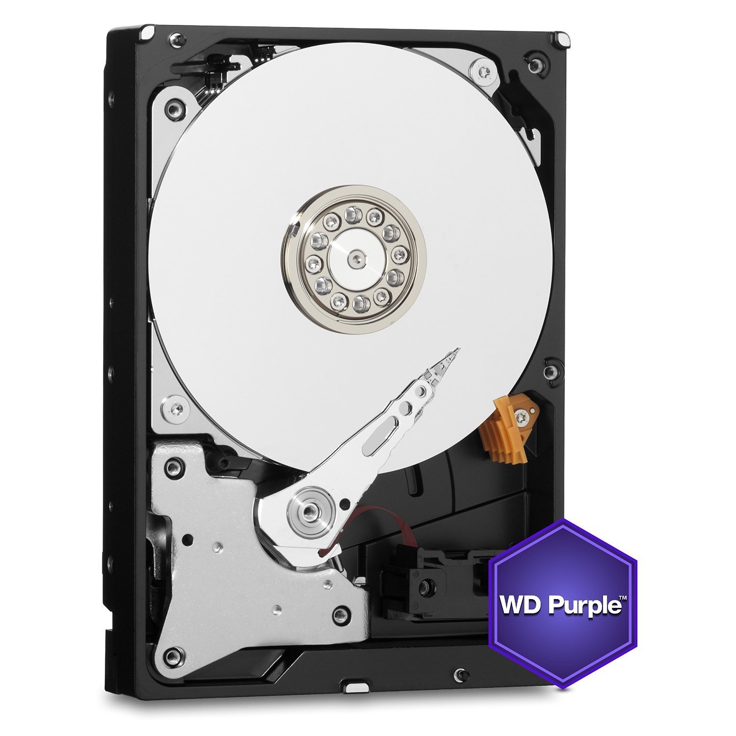 Western Digital Purple Surveillance 6TB Internal  Hard Drive (WD60PURX)