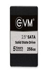 EVM25/256GB 256GB SSD 2.5" INCH SATA, Solid State Drive