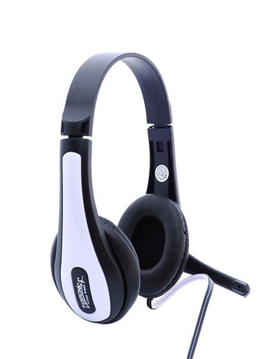 Zebronics Colt Headphone with Mic (Grey)