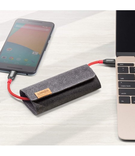 Anker Powerline+ AK-A8187091 USB-C to C Charging/Data Cable - 3 Feet (0.91 Meters) - Red, with Pouch-M000000000444 www.mysocially.com