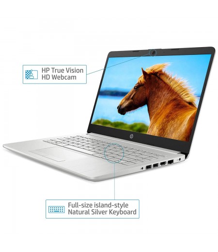 HP 14s cf3006tu 14-inch Laptop (Core i3-1005G1/4GB/1TB HDD/Windows 10 Home/Intel UHD Graphics), Natural Silver-M000000000527 www.mysocially.com