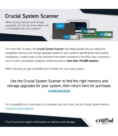 CRUCIAL P1 500GB 3D NAND NVMe PCIe M.2 SSD (CT500P1SSD8)-M000000000597 www.mysocially.com