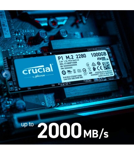 CRUCIAL P1 500GB 3D NAND NVMe PCIe M.2 SSD (CT500P1SSD8)-M000000000597 www.mysocially.com